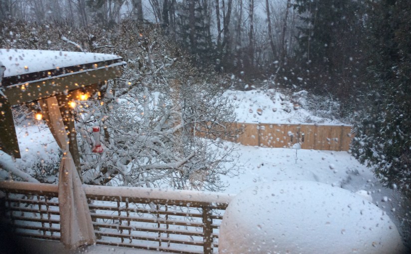 Real winter in Seattle and our heat pump still&nbsp;works!